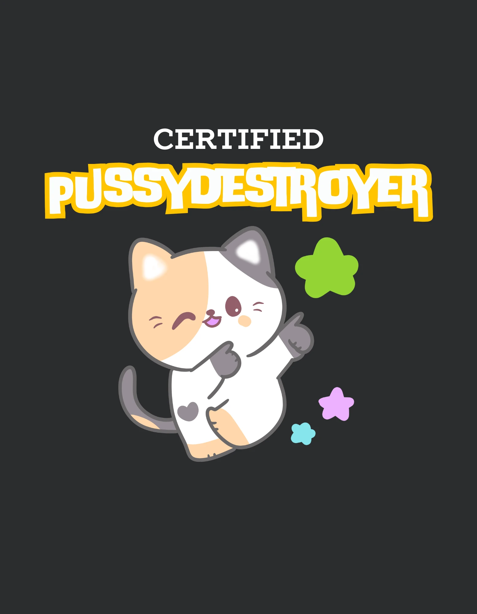 Diseño Certified: texto «Certified Pussydestroyer» con un gato de caricatura que guiña el ojo y estrellas de colores, sobre fondo gris oscuro.